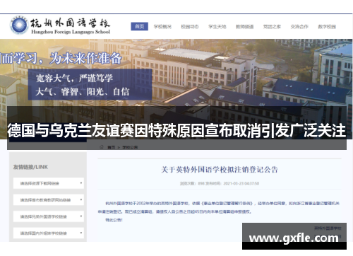 德国与乌克兰友谊赛因特殊原因宣布取消引发广泛关注