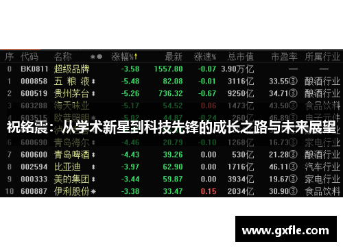 祝铭震：从学术新星到科技先锋的成长之路与未来展望